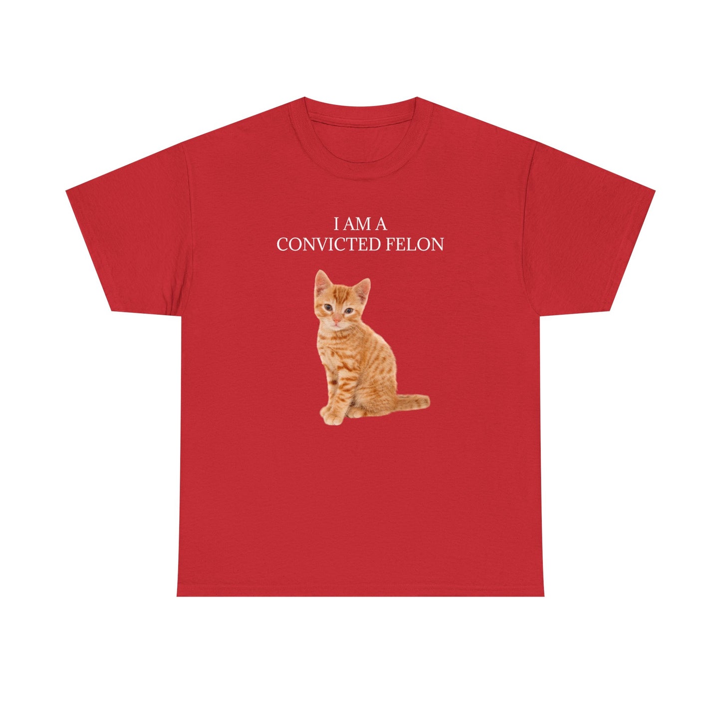 Felon Kitten Tee