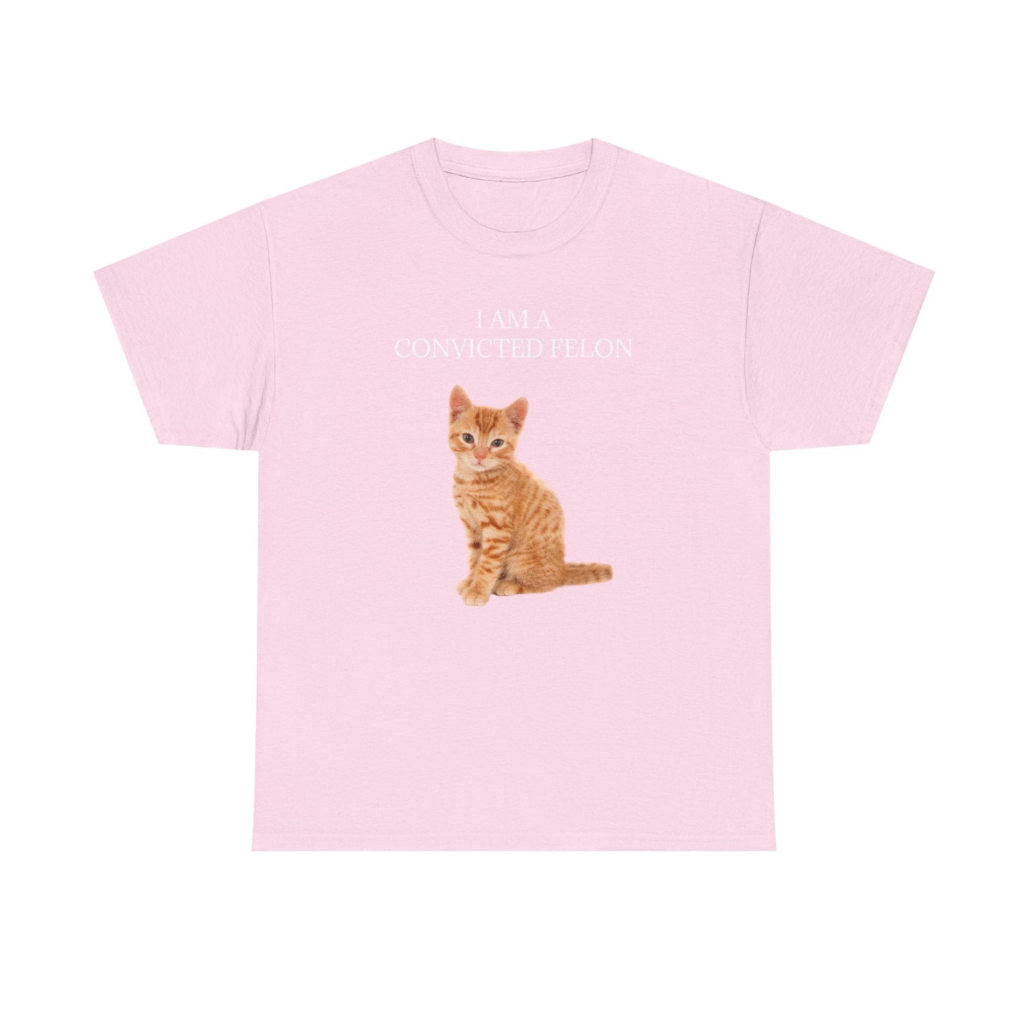Felon Kitten Tee