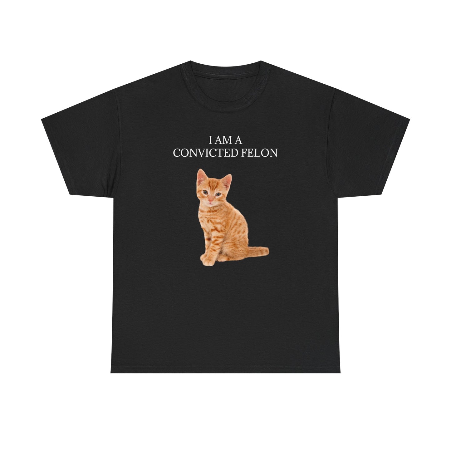 Felon Kitten Tee